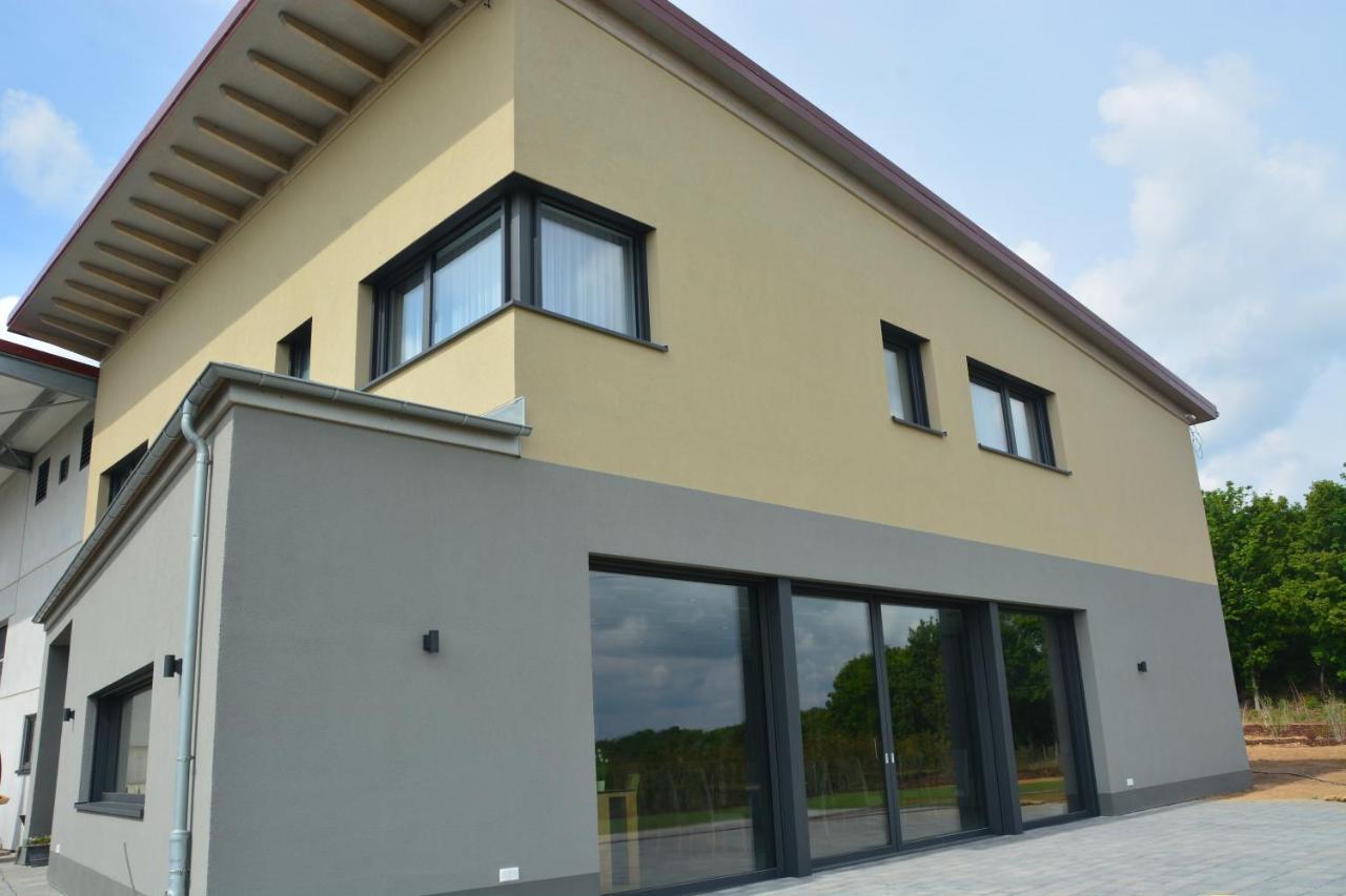 Weingut Bugner Meizelhof Klein-Winternheim Exterior foto